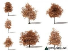 Sugar Maple Tree 7 types for UE4