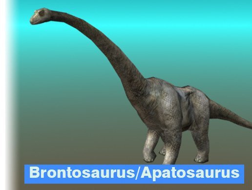 BrontosaurusApatosaurus Dinosaur