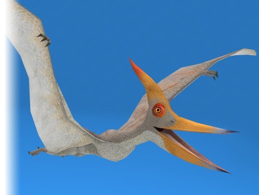 Pteranodon Dinosaur