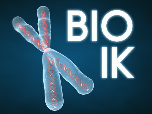 Bio IK