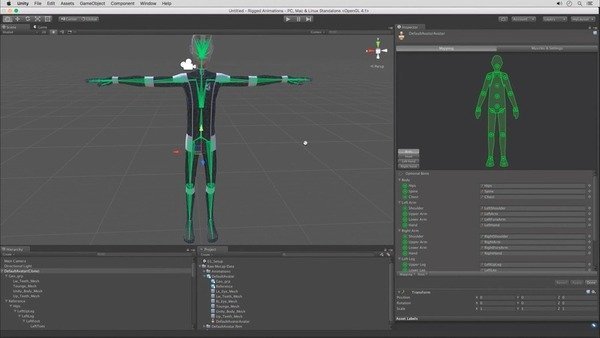 Fundamentals of Rigged Animations