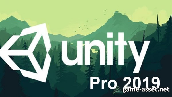 Unity Pro 2019.2.10f1 for Windows x64