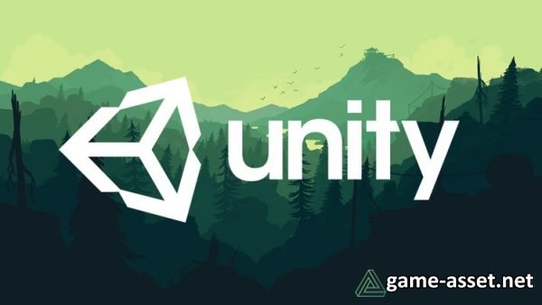 Unity Pro 2019.2.13f1 for Win 64