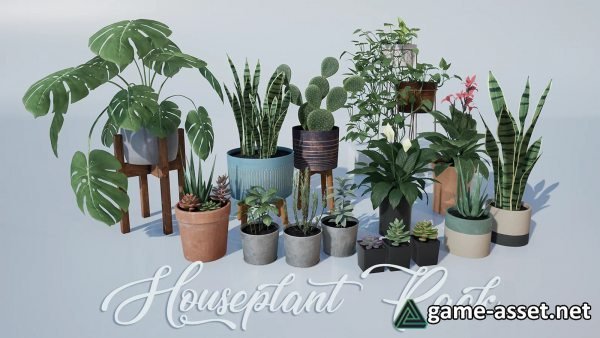 Houseplant Pack - Interior and Exterior Plants