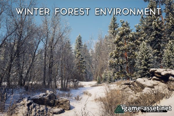 Winter Forest Environment