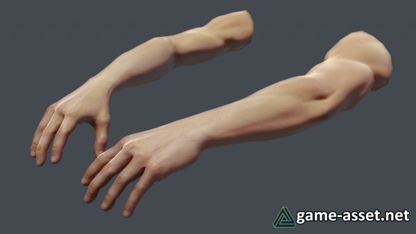 First Person Generic Arms Pack