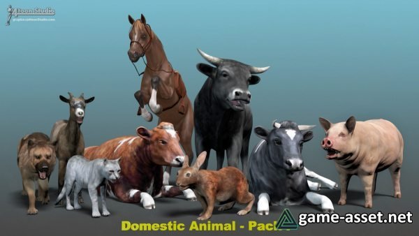 Domestic Animal Pack 1