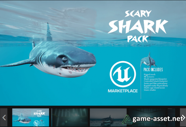 Scary Shark Assets
