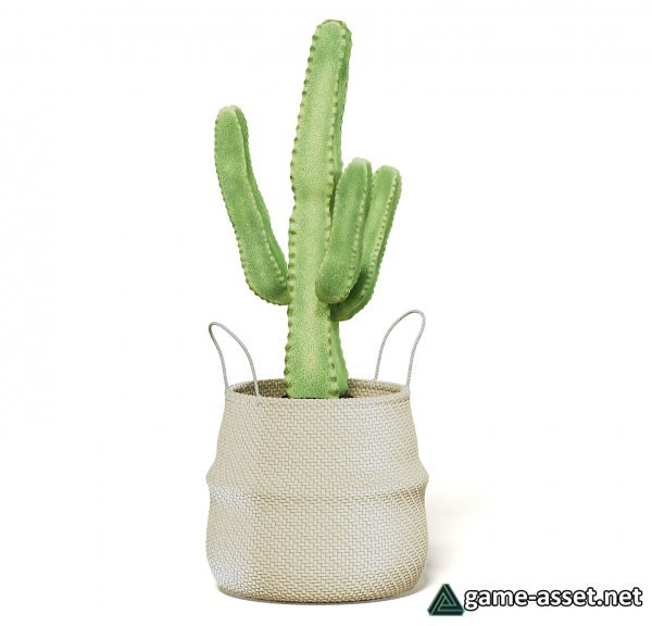 Cactus in wicker basket for UE4