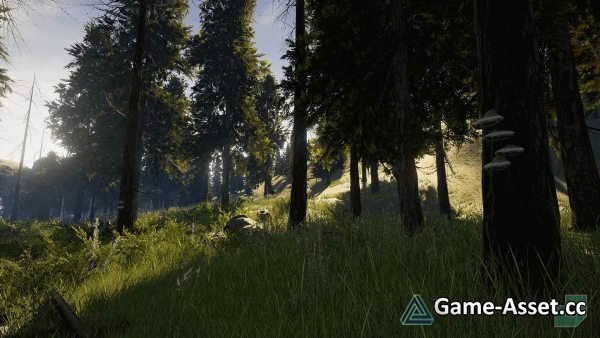 Low Poly Foliage Forest Pack