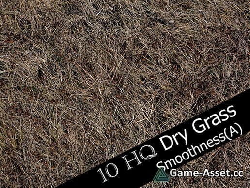Dry Grass and Mud Photo-Texture