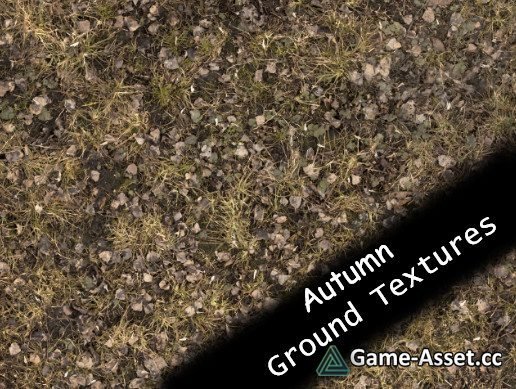 Autumn Ground Textures