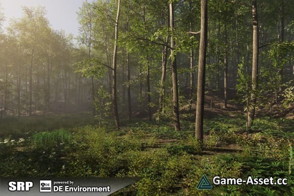 Nature Package - Forest Environment