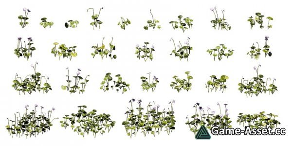 Plant Ferm 3D-Scan