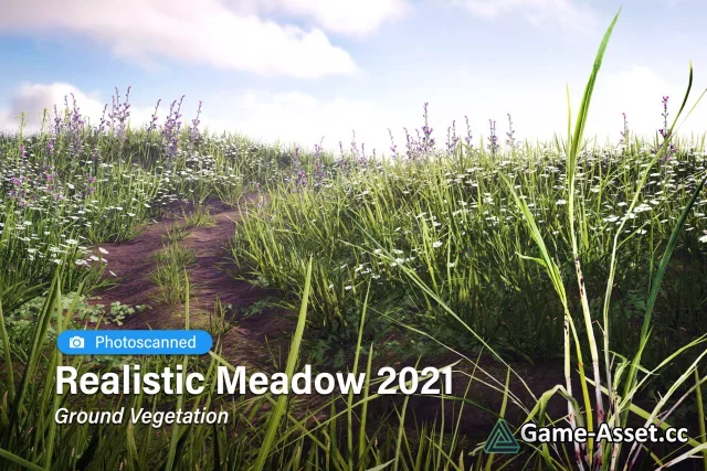 Realistic Meadow 2021 ・ Ground Vegetation