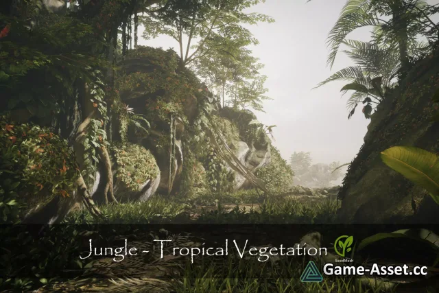 Jungle - Tropical Vegetation