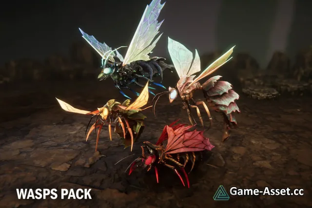 Wasps pack