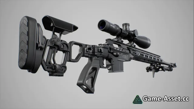 Precision Sniper Rifle